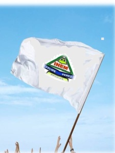 bandera del Inem